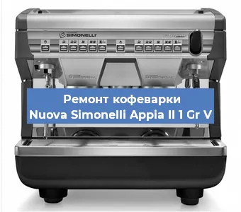 Чистка кофемашины Nuova Simonelli Appia II 1 Gr V от накипи в Волгограде